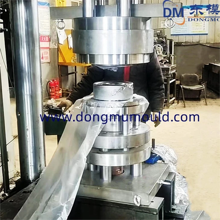 Precision Metal Drawing Die